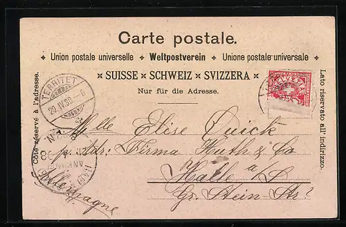 Lithographie Rochers de Naye, Grand Hotel, Vue generale