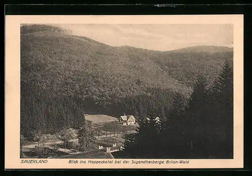 AK Brilon-Wald /Sauerland, Blick ins Hoppecketal bei der Jugendherberge Brilon-Wald