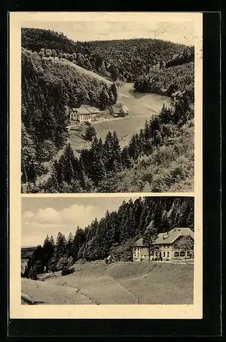 AK Mambach, Gasthaus und Pension Forsthof, Panorama