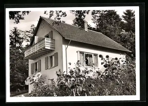 AK Badenweiler /Schwarzw., Pension Haus Rehblick F. u. I. Kurz