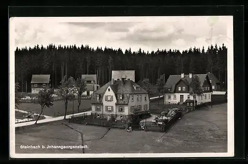 AK Steinbach b. Johanngeorgenstadt, Ortspartie mit Häusergruppe