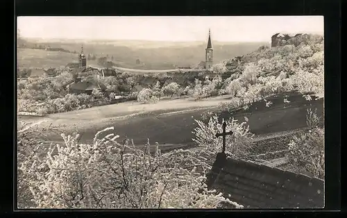 Foto-AK Schillingsfürst, Ortsansicht aus der Ferne vom Waldrand aus gesehen