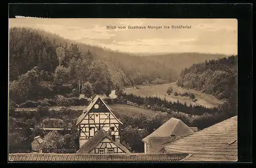 AK Paulinzella, Blick vom Gasthaus Menger ins Schäfertal