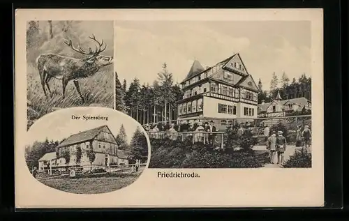 AK Friedrichroda, Gasthaus Spiessberg mit Besuchern, Hirsch