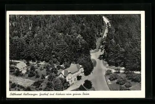 AK Hallwangen, Gasthof und Kurhaus zum grünen Baum aus der Vogelschau