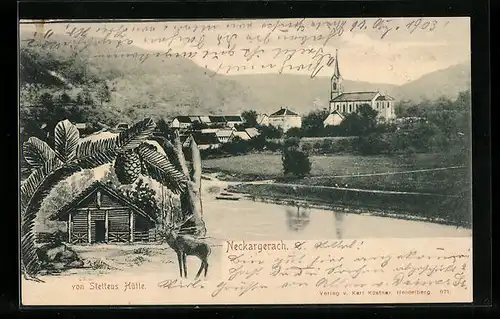 AK Neckargerach, Ortsansicht, Von Stetteus Hütte