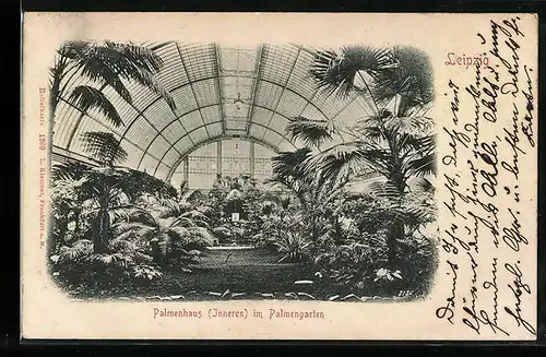 AK Leipzig, Palmenhaus im Palmengarten, Innenansicht