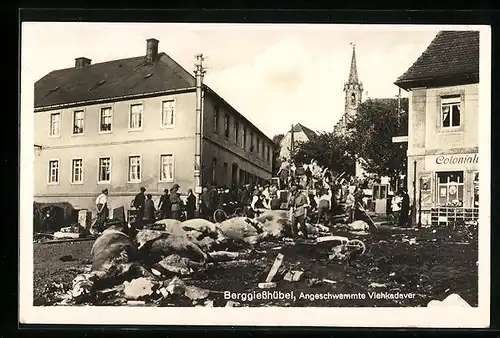 AK Berggiesshübel, Angeschwemmte Tierkadavar nach dem Hochwasser am 8. Juli 1927