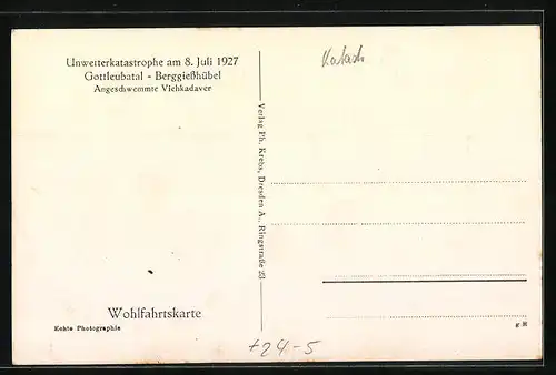 AK Berggiesshübel, Angeschwemmte Tierkadavar nach dem Hochwasser am 8. Juli 1927