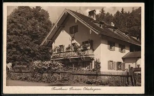 AK Garmisch / Oberbayern, Partie am Gasthof Forsthaus Griesen