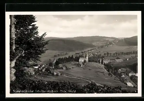 AK Scheibe-Alsbach /Th., Gesamtansicht aus der Vogelschau