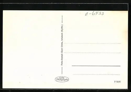 AK Scheibe-Alsbach /Th., Gesamtansicht aus der Vogelschau