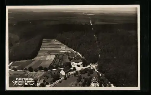 AK Hallwangen, Gasthof Pension Grüner Baum W. Sailer, Fliegeraufnahme