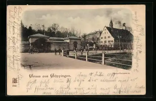 AK Göppingen, Sauerbrunnen mit Besuchern