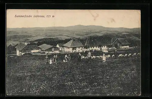 AK Lichtenau, Schafherde mit Blick zur Ortschaft