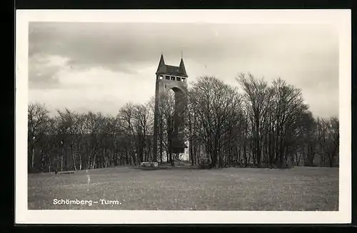 AK Schömberg, Blick zum Turm auf dem Felde