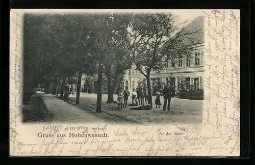 AK Hohenwestedt, Partie an An der Allee