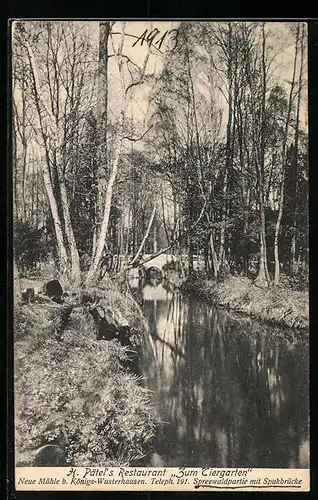 AK Königs-Wusterhausen, Spreewaldpartie mit Spukbrücke