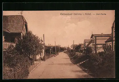 AK Dahme i. Holst., Strasse im Dorf