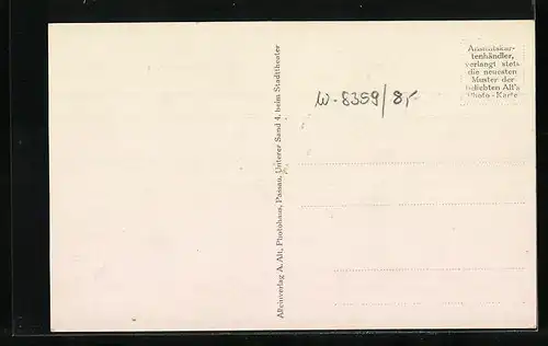 AK Fürstenstein i. Bayr. Wald, Ortspartie