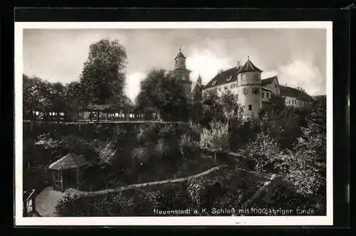 AK Neuenstadt, Schloss mit 1000jähriger Linde