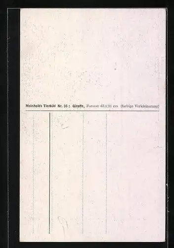 Künstler-AK Zwei Giraffen in der Savanne