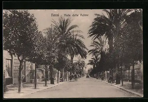 AK Nervi, Viale delle Palme