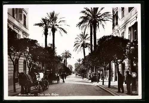 AK Genova-Nervi, Viale delle Palme