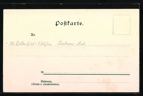 Lithographie Bitterfeld, Kriegerdenkmal, Stadtteich, Evangelische Volksschule
