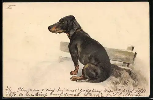 Lithographie Dackel sitzt auf einer verschneiten Bank