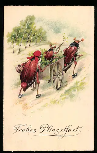 Künstler-AK Drei Maikäfer mit Karren, Pfingstgruss