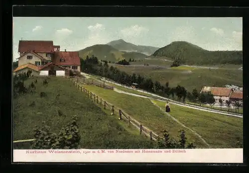 AK Weissenstein, Kurhaus Weissenstein mit Hasenmatte und Dilitsch