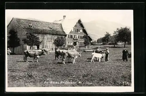 AK Nesslau, Pension Hedinger mit Kuhherde