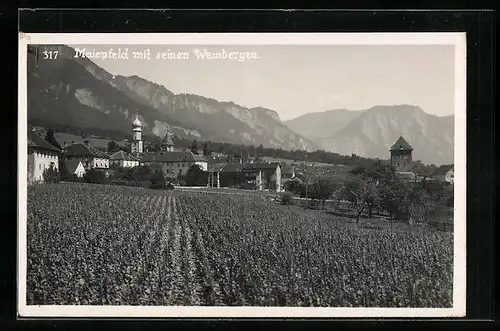 AK Maienfeld, Ortsansicht mit Weinbergen