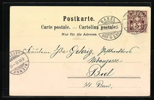 Lithographie Basel, Wettsteinbrücke, Münster und Wappen