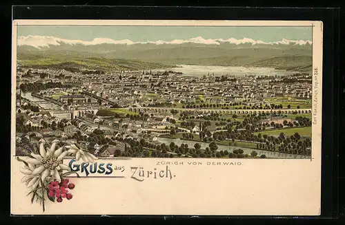 Lithographie Zürich, Ortsansicht von der Waid