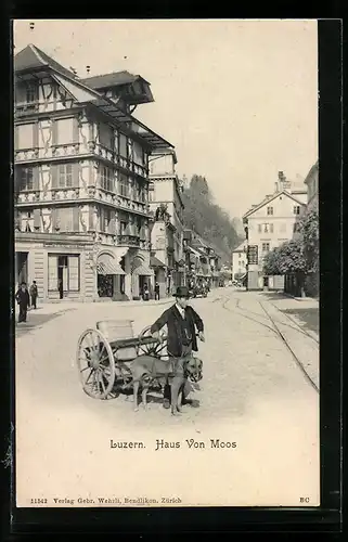 AK Luzern, Haus Von Moos