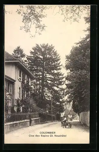 AK Colombier, Clos des Sapins