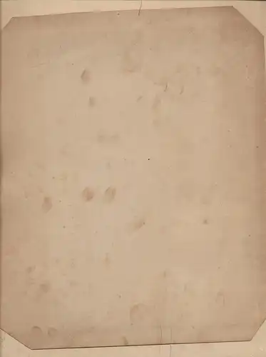Fotografie Th. Jacob, Stuttgart, Portrait eleganter Herr im Frack nebst Gattin im Sonntagskleid vor Kulisse im Atelier