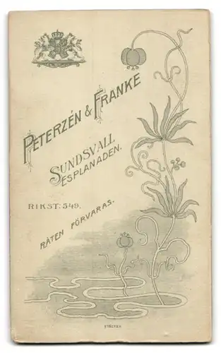 Fotografie Peterzén & Franke, Sundsvall, Rikst. 549, Kleines Mädchen im karierten Kleid