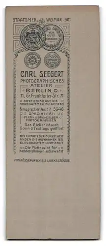 Fotografie Carl Seegert, Berlin, Gr. Frankfurter-Str. 71, Junge Dame im modischen Kleid