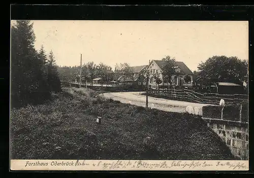 AK Schierke, Forsthaus Oderbrück mit Strasse