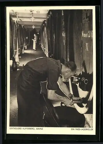 AK Mainz, Sektkellerei Kupferberg, Fass-Lagerkeller