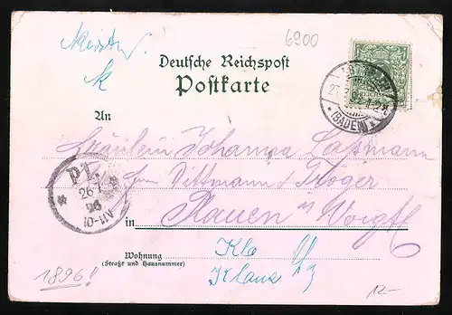 Lithographie Heidelberg, Scheffel-Denkmal, Ortsansicht aus der Vogelschau