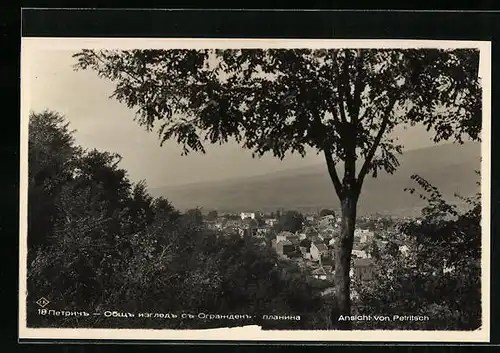 AK Petritsch, Teilansicht mit Baum