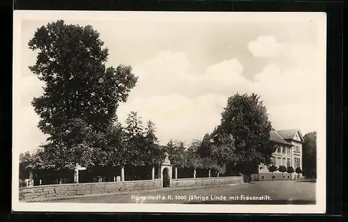 AK Neuenstadt a. K., 1000 jährige Linde mit Frauenstift