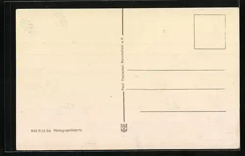 AK Neuenstadt a. K., 1000 jährige Linde mit Frauenstift