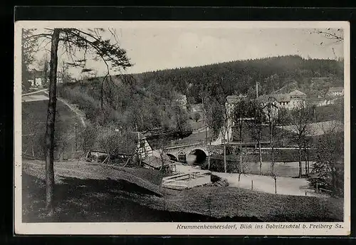 AK Krummenhennersdorf, Panoramablick von der Bergwiese