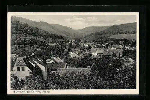 AK Stecklenberg /Harz, Teilansicht