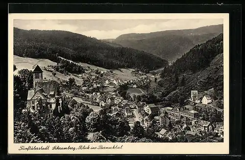 AK Schramberg, Blick ins Bernecktal